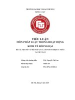 TIỂU LUẬN môn PHÁP LUẬT TRONG HOẠT ĐỘNG KINH tế đối NGOẠI đề tài một số vấn đề PHÁP lý của DOANH NGHIỆP tư NHÂN tại VIỆT NAM 