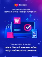 BÁO cáo TOÀN CẢNH NGÀNH THƯƠNG mại điện tử VIỆT NAM 