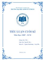 Tiểu luận cuối kì môn học ERPSCM