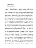 SKKN Kĩ năng khai thác, sử dụng kênh hình trong sách giáo khoa Lịch sử lớp 8