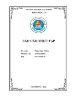 BÁO cáo THỰC tập CÔNG TY TNHH HOÀNG NGÂN 