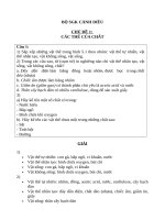 Bài tập KHTN phần hóa học   cánh diều 