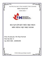 BÀI TẬP LỚN KẾT THÚC HỌC PHẦN MÔN TIẾNG VIỆT THỰC HÀNH