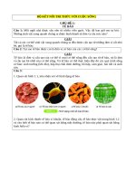 Bài tập KHTN phần sinh học   kết nối tri thức 