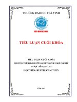 TIỂU LUẬN CUỐI KHÓA CHƯƠNG TRÌNH BỒI DƯỠNG CHỨC DANH NGHỀ NGHIỆP  DƯỢC SĨ HẠNG III