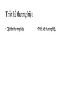 tiểu luận đặt tên thương hiệu 