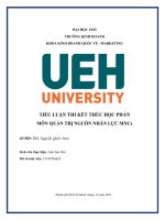 TIỂU LUẬN THI kết THÚC học PHẦN môn QUẢN TRỊ NGUỒN NHÂN lực MNCs 