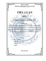 ĐỀ BÀI 06:  “Phân tích ưu điểm, hạn chế của biện pháp giải quyết tranh chấp quốc tế thông qua trọng tài quốc tế so với các biện pháp giải quyết tranh chấp quốc tế khác. Đánh giá khả năng áp dụng biện pháp này để giải quyết tranh chấp quốc tế mà Việt Nam l