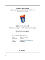 TIỂU LUẬN CUỐI kì môn học xây DỰNG  PHÁT TRIỂN THƯƠNG HIỆU đề tài định vị thương hiệu 