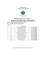 BUỔI THẢO LUẬN THỨ tư bảo vệ QUYỀN sở hữu bộ môn những quy định chung về luật dân sự 