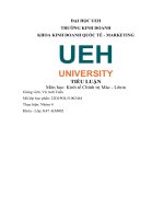 TIỂU LUẬN môn học kinh tế chính trị mác   lênin thực trạng cạnh tranh và độc quyền ở việt nam 