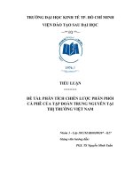 TIỂU LUẬN  PHÂN TÍCH CHIẾN lược PHÂN PHỐI cà PHÊ của tập đoàn TRUNG NGUYÊN tại THỊ TRƯỜNG VIỆT NAM 