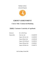 GROUP ASSIGNMENT course title commercial banking TOPIC customer centricity of agribank 