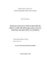 ĐÁNH GIÁ NĂNG SUẤT, CHẤT LƯỢNG MỘT SỐ GIỐNG CÀ PHÊ CHÈ MỚI (Coffea arabica) TẠI CÁC TỈNH ĐẮK LẮK, ĐẮK NÔNG VÀ LÂM ĐỒNG