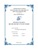 ĐỒ án 2 đề tài PET TINDER 