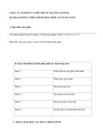 CÔNG TY cổ PHẦN cà PHÊ TRUNG NGUYÊN LEGEND kế HOẠCH PHÁT TRIỂN KÊNH PHÂN PHỐI tại TP đà NẴNG 