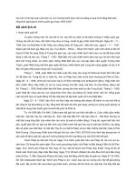 TIỂU LUẬN trình bày hoàn cảnh lịch sử ,chủ trương chiến lược mới của đảng và quá trình đảng lãnh đạo tổng khởi nghĩa giành chính quyền giai đoạn 1939 1945