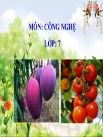 Giáo án công nghệ 7: bài 10