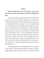 Tiểu luận lớp cao học xây dựng đảng và CQNN  phân tích những bất cập về cải cách nhân sự trong bộ máy hành chính nhà nước ở nước ta hiện nay  đề xuất các giải pháp khắc phục