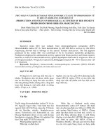 Thu nhận và khảo sát hoạt tính sinh học của sắc tố prodigiosin từ vi khuẩn Serratia marcescens