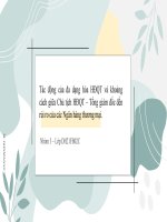 slide thuyết trình tác động của đa dạng hóa HĐQT và khoảng cách giữa chủ tịch HĐQT – tổng giám đốc đến rủi ro của các ngân hàng thương mại   