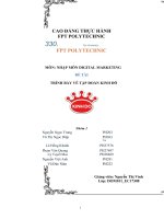 NHẬP môn DIGITAL MARKETING đề tài TRÌNH bày về tập đoàn KINH đô 