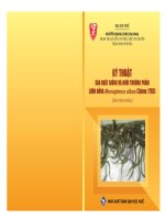 Kỹ thuật sản xuất giống nuôi thương phẩm lươn đồng