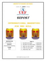 tiểu luận REPORT INTERNATIONAL MARKETING FOR RED BULL 
