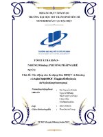 Tác động của đa dạng hóa HĐQT và khoảng cách giữa Chủ tịch HĐQT – Tổng giám đốc đến rủi ro của các Ngân hàng thương mại