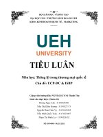 TIỂU LUẬN môn học thông lệ trong thương mại quốcitế chủ đề UCP DC  ISBP 