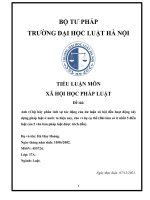 TIỂU LUẬN MÔN XÃ HỘI HỌC PHÁP LUẬT Đề tài Anh (Chị) hãy phân tích sự tác động của dư luận xã hội đến hoạt động xây dựng pháp luật ở nước ta hiện nay, cho ví dụ cụ thể (Bài làm có ít nhất 5 điều luật của 5 văn bản pháp luật được trích dẫn).