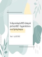 slide thuyết trình tác động của đa dạng hóa HĐQT và khoảng cách giữa chủ tịch HĐQT – tổng giám đốc đến rủi ro của các ngân hàng thương mại   