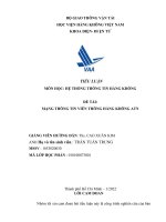 TIỂU LUẬN môn học hệ THỐNG THÔNG TIN HÀNG KHÔNG đề tài MẠNG THÔNG TIN VIỄN THÔNG HÀNG KHÔNG ATN 