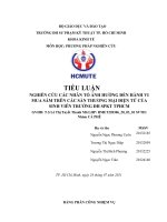 TIỂU LUẬN NGHIÊN cứu các NHÂN tố ẢNH HƯỞNG đến HÀNH VI MUA sắm TRÊN các sàn THƯƠNG mại điện tử của SINH VIÊN TRƯỜNG đh SPKT TPHCM