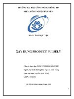 Báo cáo thực tập xây dựng PRODUCT PULSELY 