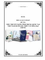 TIỂU THUYẾT NGÔN TÌNH TRUNG QUỐC TẠI VIỆT NAM DƯỚI GÓC NHÌN VĂN HÓA ĐẠI CHÚNG