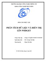 Báo cáo thực tập phân tích dữ liệu và hiển thị lên WIDGET 