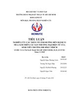 TIỂU LUẬN NGHIÊN CỨU CÁC NHÂN TỐ ẢNH HƯỞNG ĐẾN HÀNH VI MUA SẮM TRÊN CÁC SÀN THƯƠNG MẠI ĐIỆN TỬ CỦA SINH VIÊN TRƯỜNG ĐH SPKT TPHCM