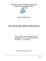 Báo cáo thực tập xây dựng hệ thống INSURTECH 