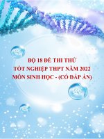 Bộ 18 đề thi thử tốt nghiệp THPT năm 2022 môn Sinh học (Có đáp án)