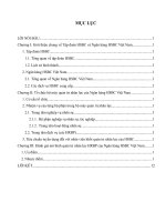 Liên hệ thực tiễn hình thức tổ chức bộ máy quản trị nhân lực theo mô hình HRBP của ngân hàng HSBC việt nam