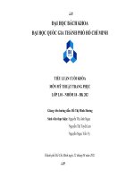 TIỂU LUẬN CUỐI KHÓA môn mỹ THUẬT TRANG PHỤC 