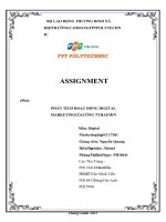 ASSIGNMENT  Đề tài PHÂN TÍCH HOẠT ĐỘNG DIGITAL MARKETING CỦA CÔNG TY BAEMIN