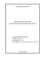 Khái quát đường lối xây dựng hệ thống chính trị của Đảng Cộng sản Việt Nam. Phân tích và bàn luận về hệ thống chính trị Việt Nam hiện nay