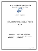 BÁO cáo THỰC tập ASP  NET MVC TRONG lập TRÌNH WEB 
