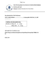 TIỂU LUẬN Đề tài Nâng cao chính sách sản phẩm của Ngân Hàng Thương Mại Cổ Phần Á Châu