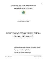 BÁO cáo THỰC tập REACTJS, các CÔNG cụ KIỂM THỬ và QUẢN lý MONO REPO 