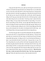 Tiểu luận chính sách công phát triển đô thị bền vững và chính sách phát triển đô thị bền vững ở việt nam trong giai đoạn hiện nay 