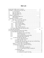 PHÂN TÍCH CHIÊN lược CHIÊU THỊ của CÔNG TY sữa VINAMILK 