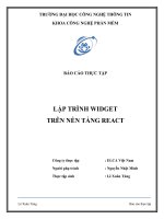 Báo cáo thực tập lập trình WIDGET trên nền tảng REACT 